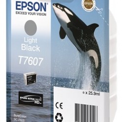 EPSON Cartridge Light Black C13T76074010