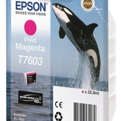 EPSON Cartridge Magenta C13T76034010