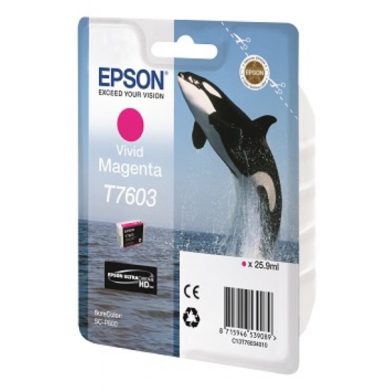 EPSON Cartridge Magenta C13T76034010