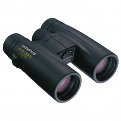 Olympus 10X42 EXWP I Binoculars