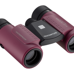Olympus 8X21 RC II WP MAGENTA Binoculars