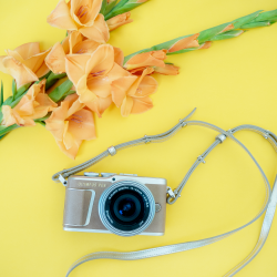Olympus PEN  Leather Strap Be my Rockstar
