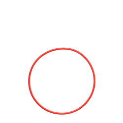 Olympus POL-058 O-ring for PT-058