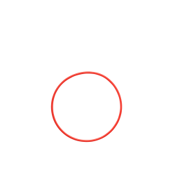 Olympus POL-058 O-ring for PT-058