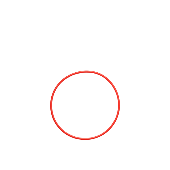 Olympus POL-058 O-ring for PT-058