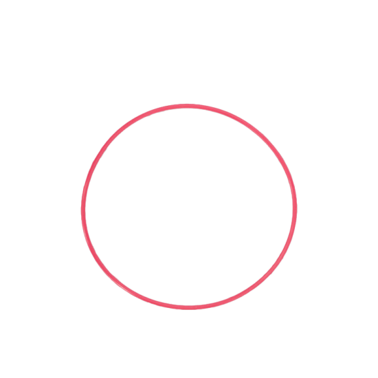 Olympus POL-EP01 O-Ring for E-PL1, E-M5, E-M1 Underwater