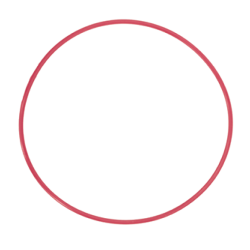 Olympus POL-EP03 O-Ring for PT-EP10//PT-EP06L/PT-EP05L/PT-EP03 Underwater