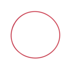 Olympus POL-EP03 O-Ring for PT-EP10//PT-EP06L/PT-EP05L/PT-EP03 Underwater