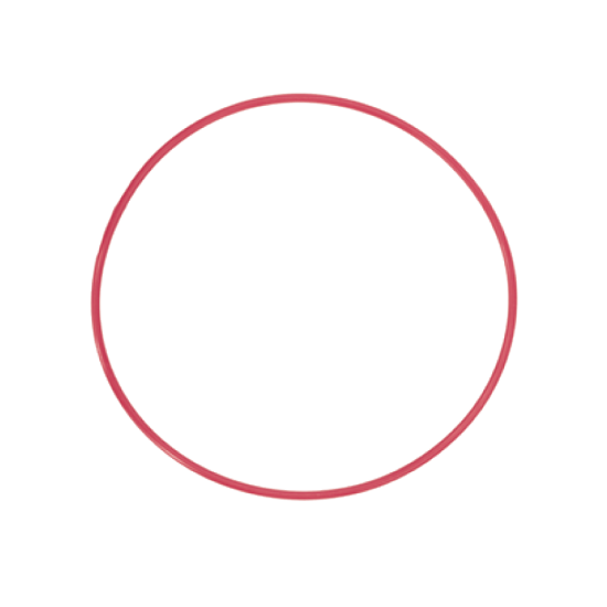 Olympus POL-EP03 O-Ring for PT-EP10//PT-EP06L/PT-EP05L/PT-EP03 Underwater