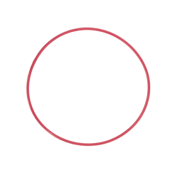 Olympus POL-EP14  O-Ring for PT-EP14