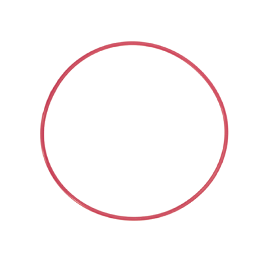 Olympus POL-EP14  O-Ring for PT-EP14
