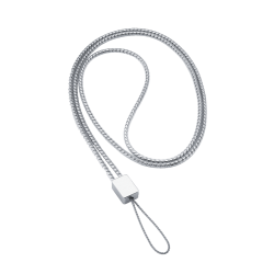 Olympus silver neckstrap