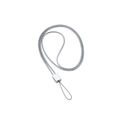 Olympus silver neckstrap