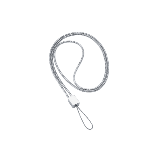 Olympus silver neckstrap